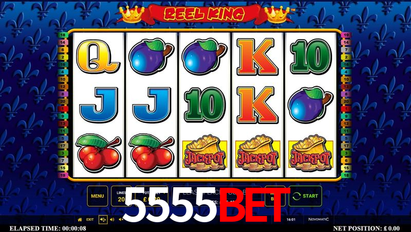 5555BET: Seu Especialista em Apostas Esportivas Brasileiras